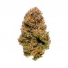 AMNESIA CBD