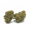 MOBY DICK CBD
