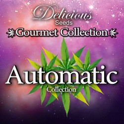AUTOMATIC STRAINS -2- GOURMET COLLECTION (DELICIOUS SEEDS)