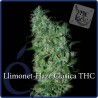 LLIMONET HAZE FEMINIZADA (ELITE SEEDS)