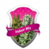INDOOR MIX (ROYAL QUEEN)