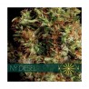 NY DIESEL FEMINIZADA (VISION SEEDS)