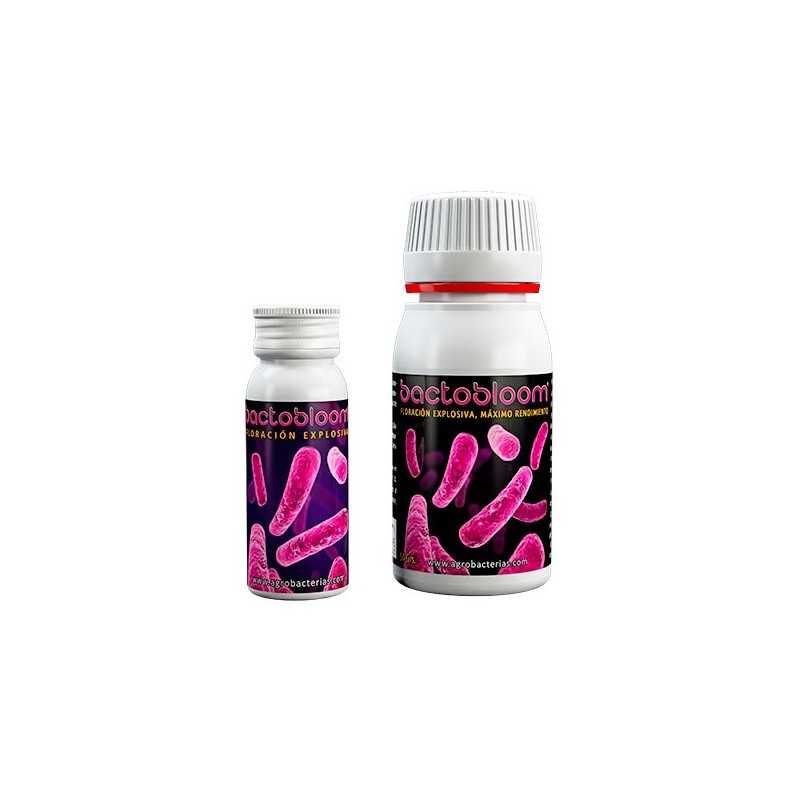 BACTOBLOOM BACTERIAS (AGROBACTERIAS)