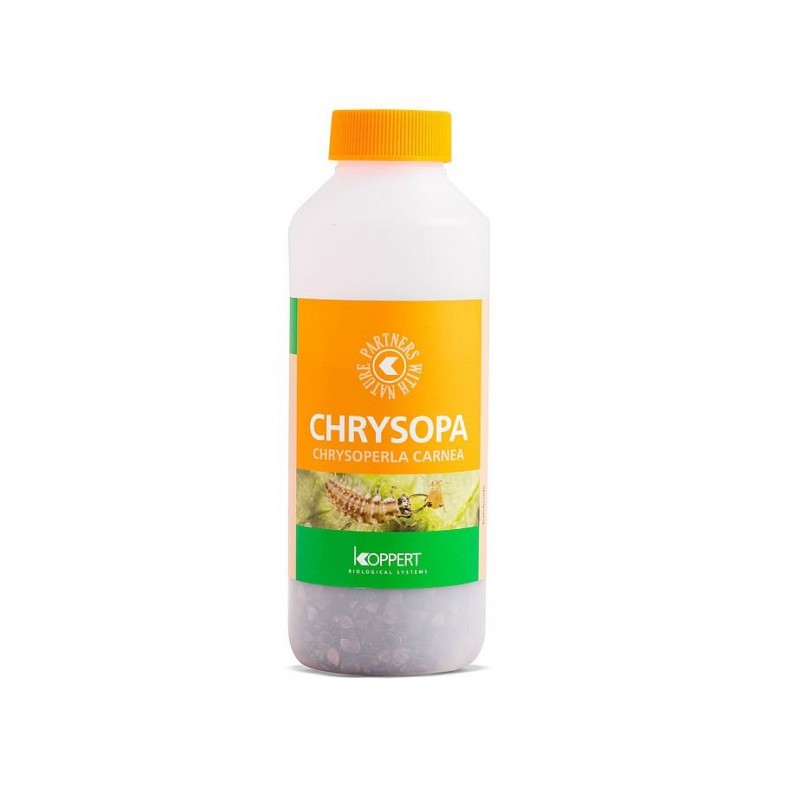 CHRYSOPA 1000 (CONTRA PULGÓN) + TRANSPORTE INCLUIDO