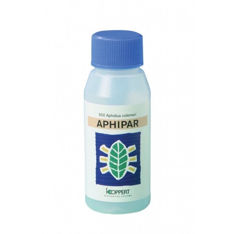 APHIPAR (APHIDIUS COLEMANI CONTRA PULGÓN) + TRANSPORTE INCLUIDO.