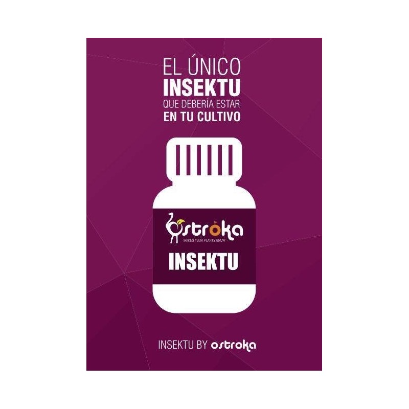 INSEKTU (OSTROKA)