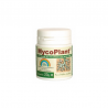 MYCOPLANT POLVO (TRABE) HONGO MICORRIZA