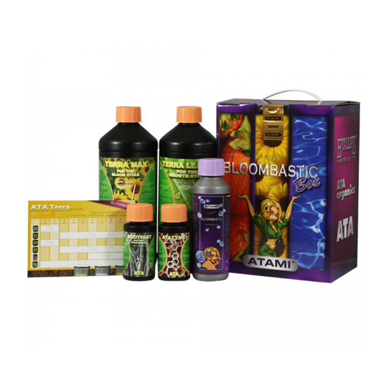 ATA TERRA BLOOMBASTIC BOX B' CUZZ