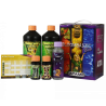 ATA TERRA BLOOMBASTIC BOX B' CUZZ
