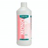 MONONUTRIENTE FÓSFORO CANNA 1L
