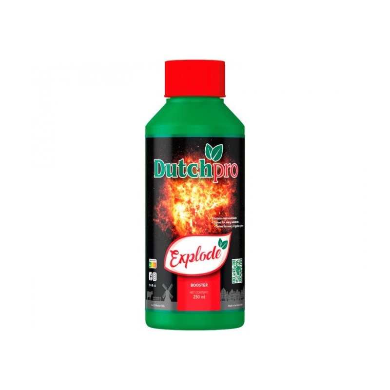 EXPLODE (DUTCH PRO)