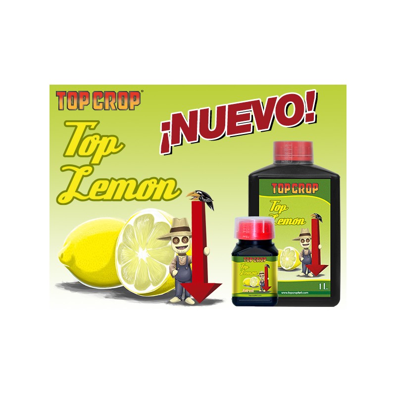 TOP LEMON- ACIDO CITRICO (TOP CROP)