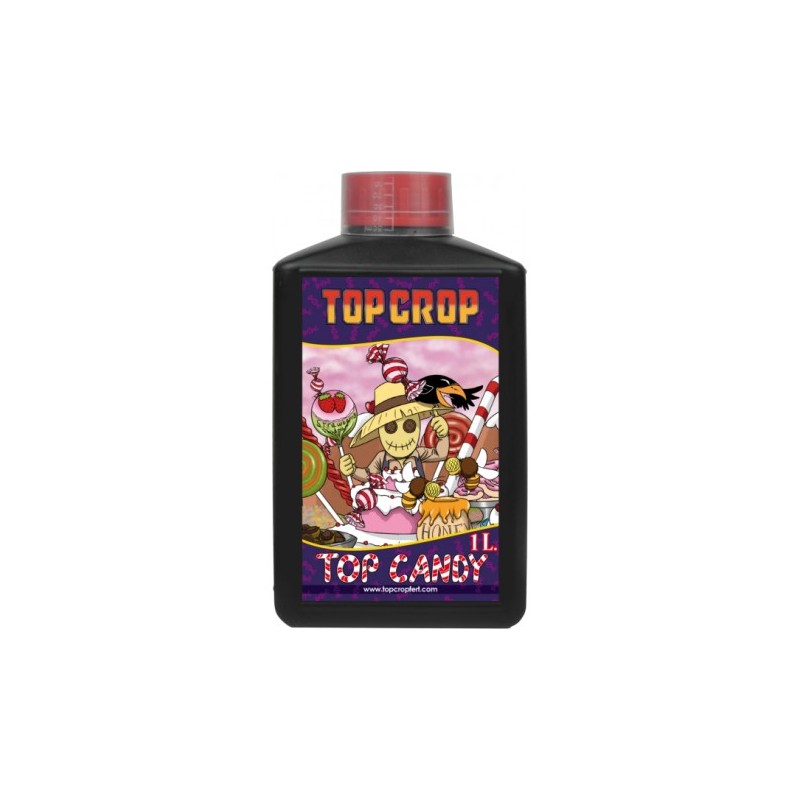 TOP CANDY (TOP CROP)