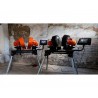 PELADORA MR MEAN (DUTCH SOLUTIONS)