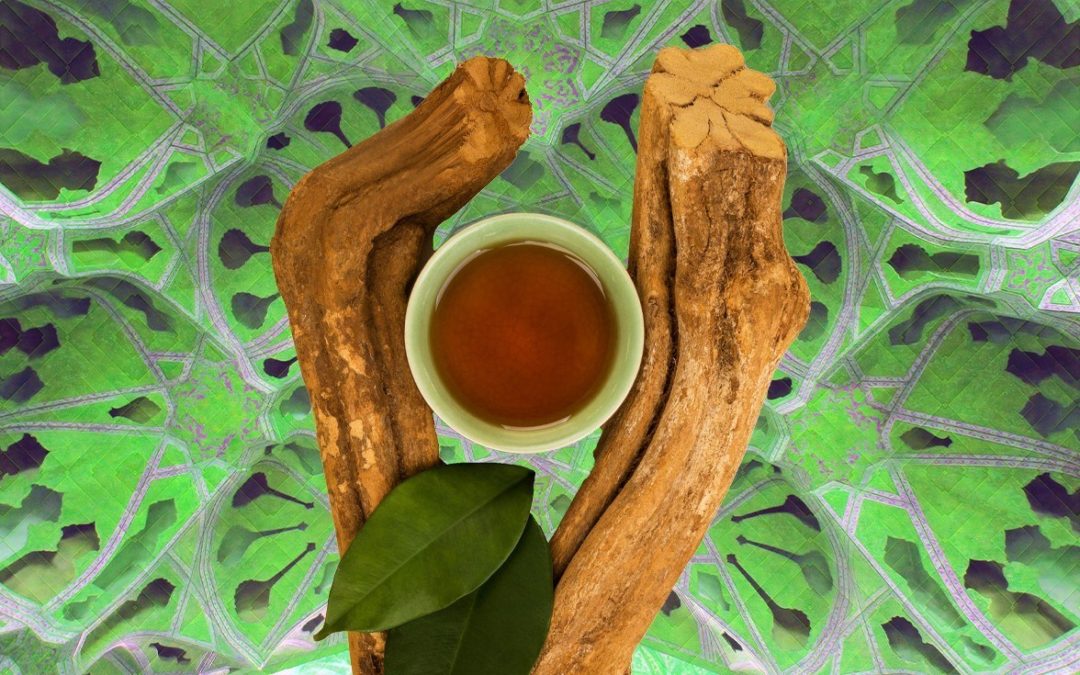 Ayahuasca